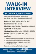 Hiring Team leader,Team Manager