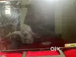 Sony 32 inch Led tv