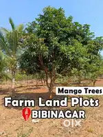 HMDA Limits FARM House Construction Open Plots For Sale Near BIBINAGAR