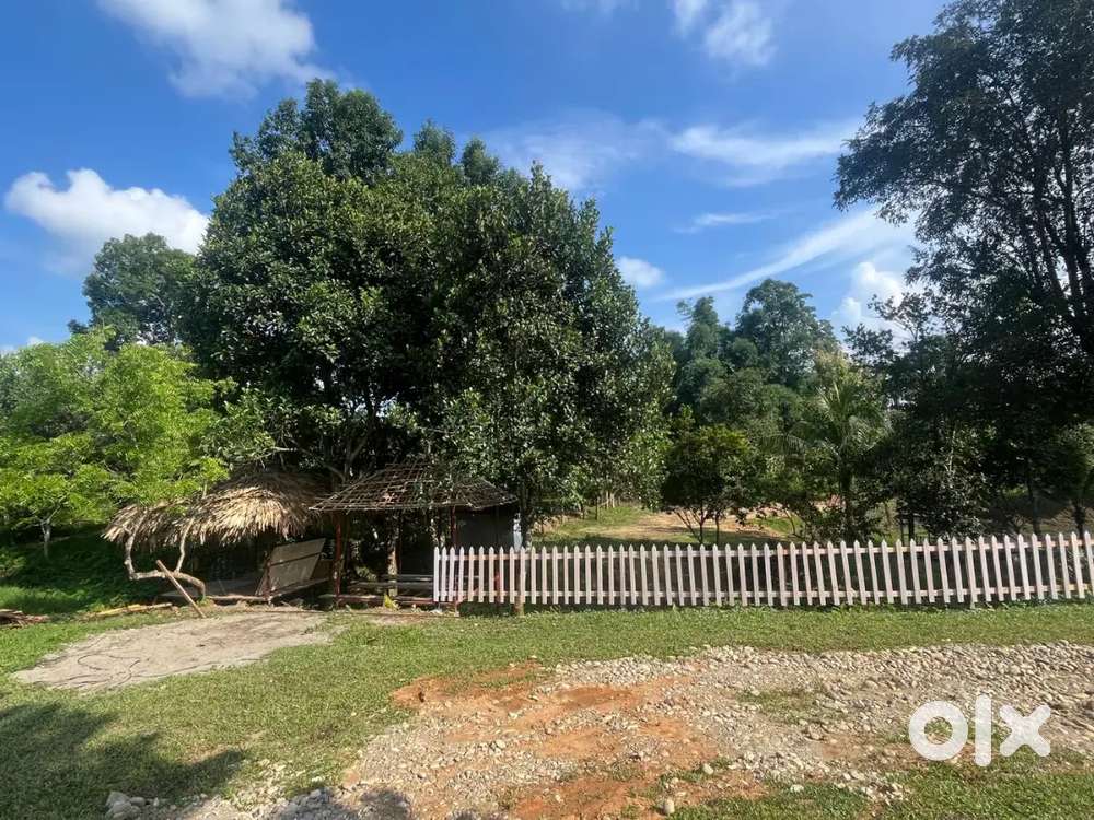 3 BIGHA 2 KATTHA LAND FOR SALE., ONLY GENUINE BUYERS CONTACT ME.