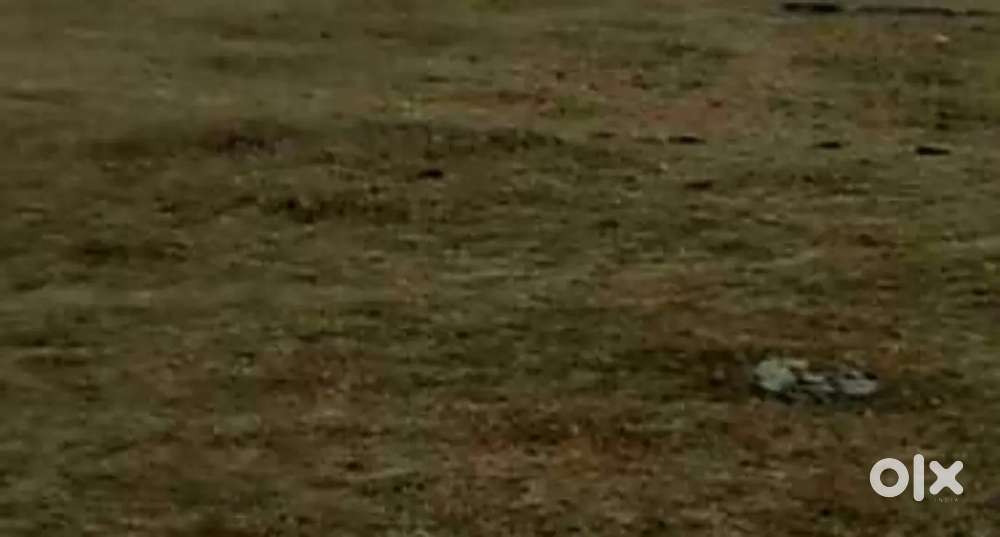 5cents plot for sale