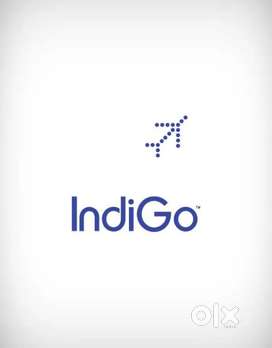 Interested Candidates Can Apply For Indigo Airlines Authority