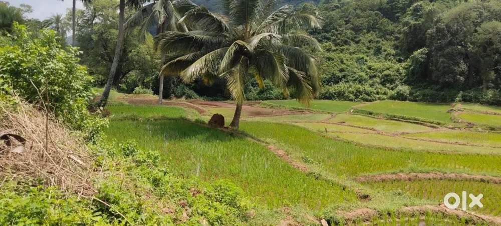 5.73 acres Agriculture land for sale at low price in Kakinada dist
