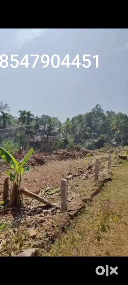 15 cent house plot for sale in kumbanad..1.55 lakhs per cent