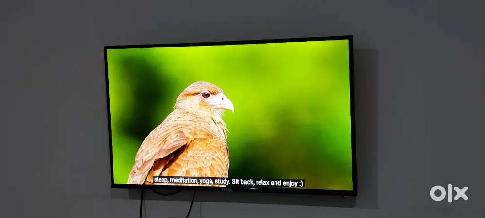 Brand new 50 inch smart 4k tv with warranty installation