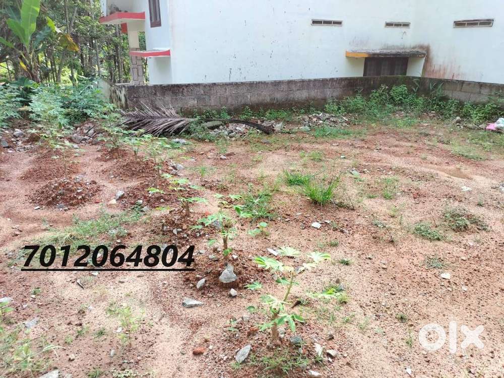 (ID-R198709) RESIDENTIAL 6 CENT LAND FOR SALE AT OOKODE