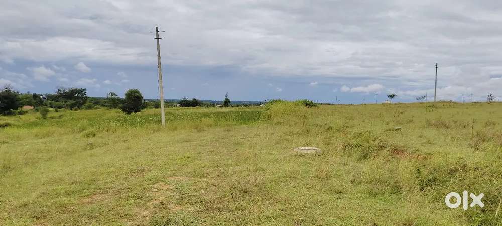 South face site sell