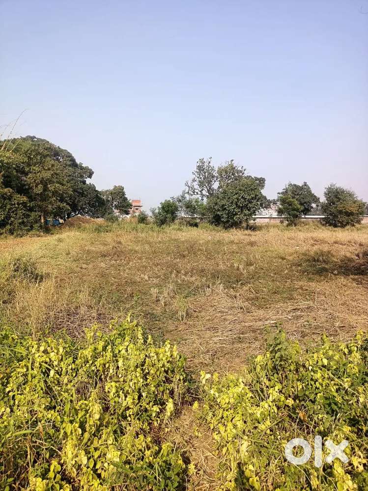 5 katha plot in 4 line nearest