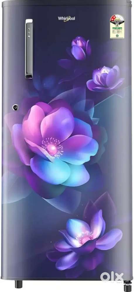 Refrigerator with Stabilizer