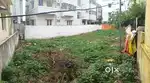 Sri Devi Karumariyamman nagar kolapakkam