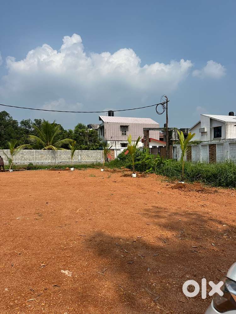 21 cent squareplot Near kanjikuzhy
