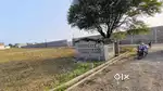 Plot in rewa