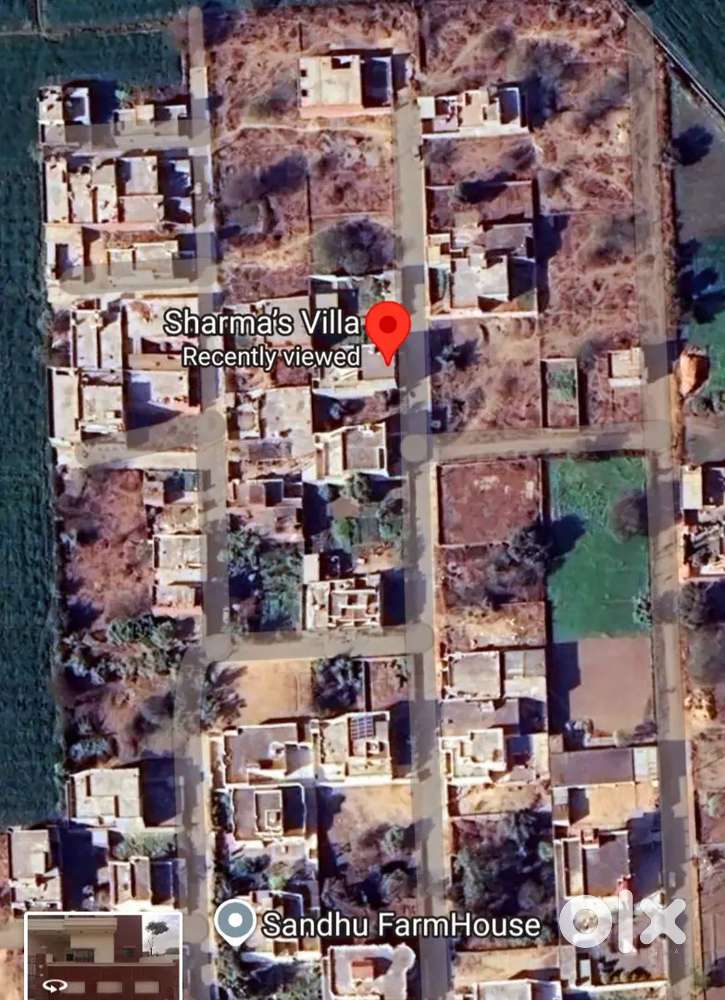Plot In Guru Teg Bahadur Nagar Barnala Gali No 8