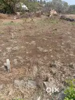 Soro balesoro