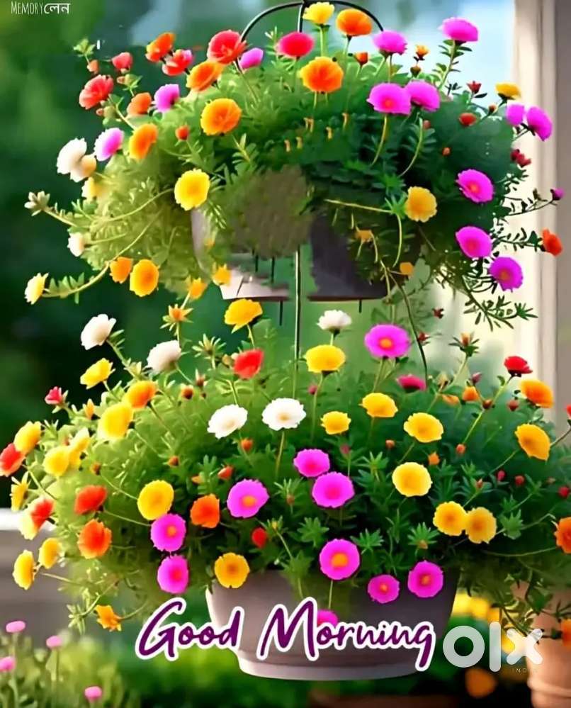 Hardware shop for urgent sale