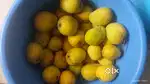 देशी बदामी आंबे Rs १५० डझन. Discount on bulk order.