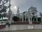 Delhi NCR or near 300 km