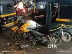 11 November bike