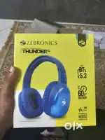 Zebronics Headphones