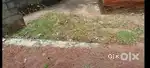 4..25 cent lorry plot for sale.