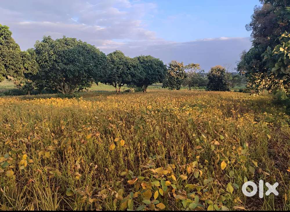 1 Acre Land for sale