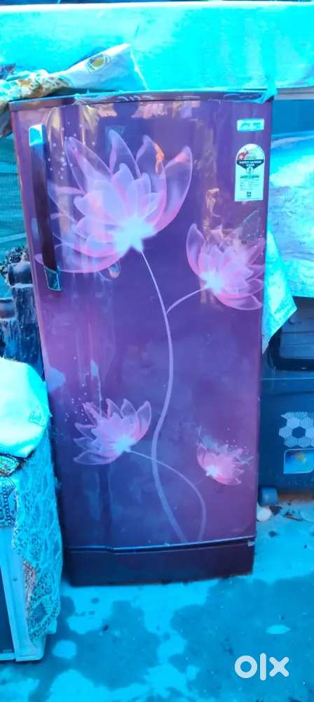 Freeze good condition