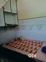 Need female roommate
