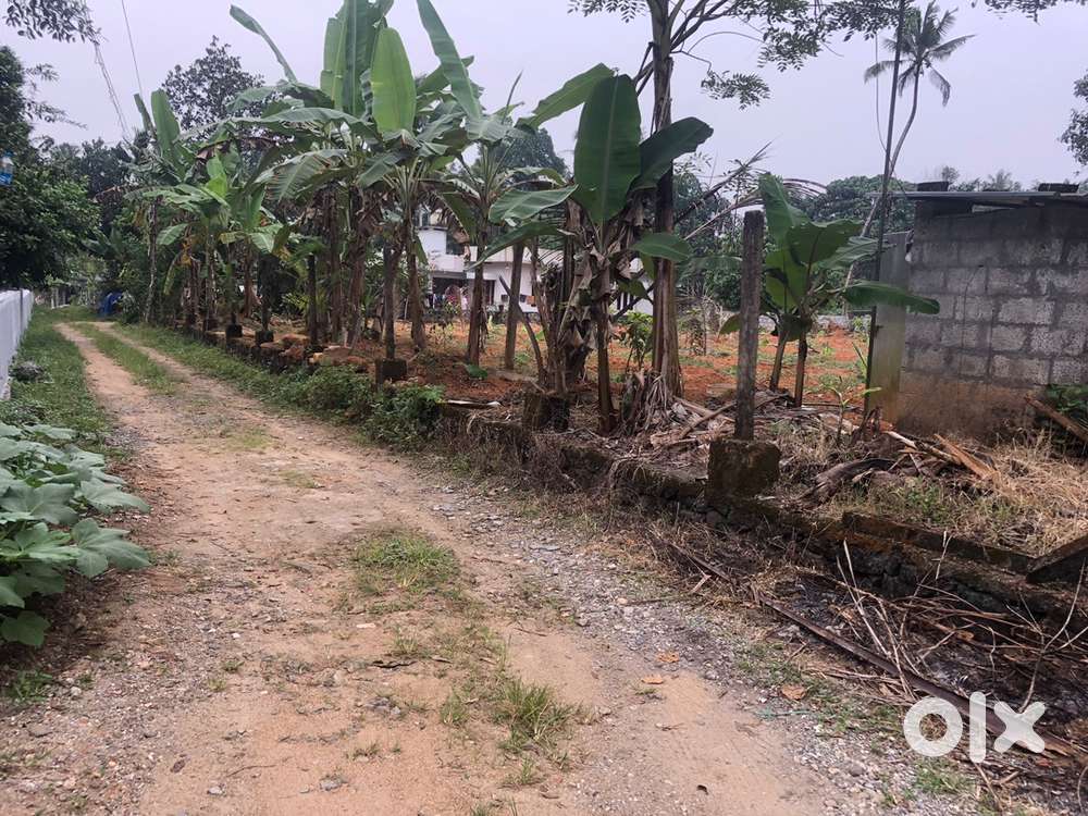 ചേലാട്  കീരംപാറ  1.70  ലക്ഷം /സെൻറ്