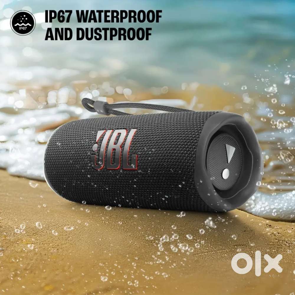 JBL flip 6