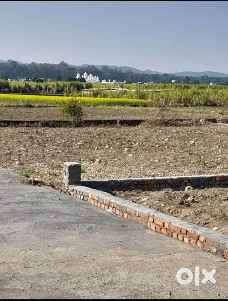 Low Price Plot For Sale In Garhwali Colony Jhabrawala Doiwala