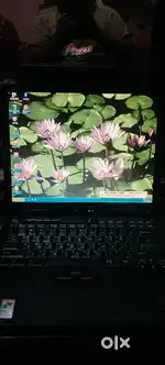 Lg  leptop arjent selling money problem xchange available  phone se