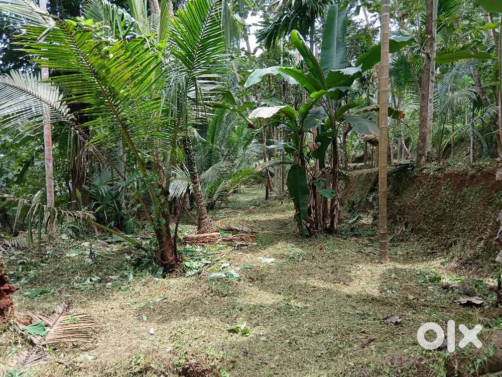 140000/cent  (Total 58 cent പറമ്പ്)