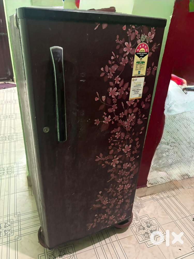 LG Fridge Five star Rating Seconds