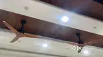2 Wooden Blade Stylish Fans
