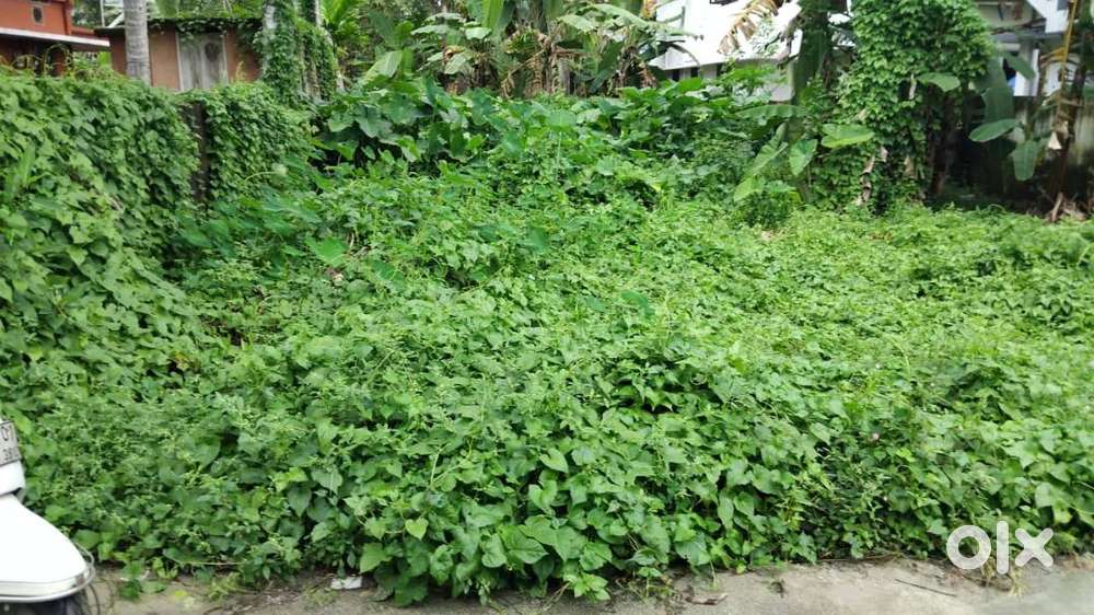 5 CENTS LAND FOR HOUSE CONSTRUCTION . 10 LAKHS PER CENT . NEGOTIABLE .