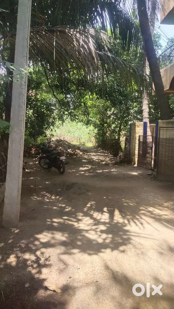Maruthi nagar ,rayar thoppu,near by no 1 tolgate