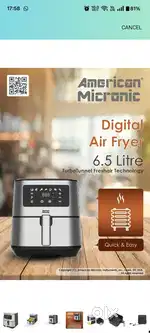 American micronic Air dryer