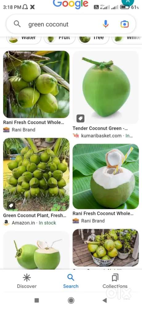 Full experience of green coconut water cutting
