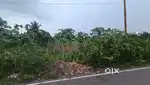 2 kathas plot available at Sodpurdpur  kalyani higiway.