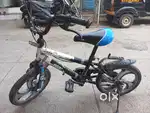 BMX NETRA , best condition,all good,2 year old