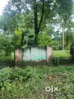 LOHIA VIHAR BDA COLONY