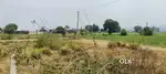 100 gaj plot