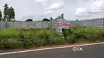 Commerical land