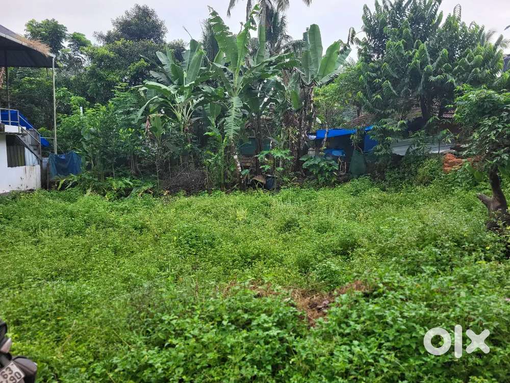 Land for sale: Naduvattom