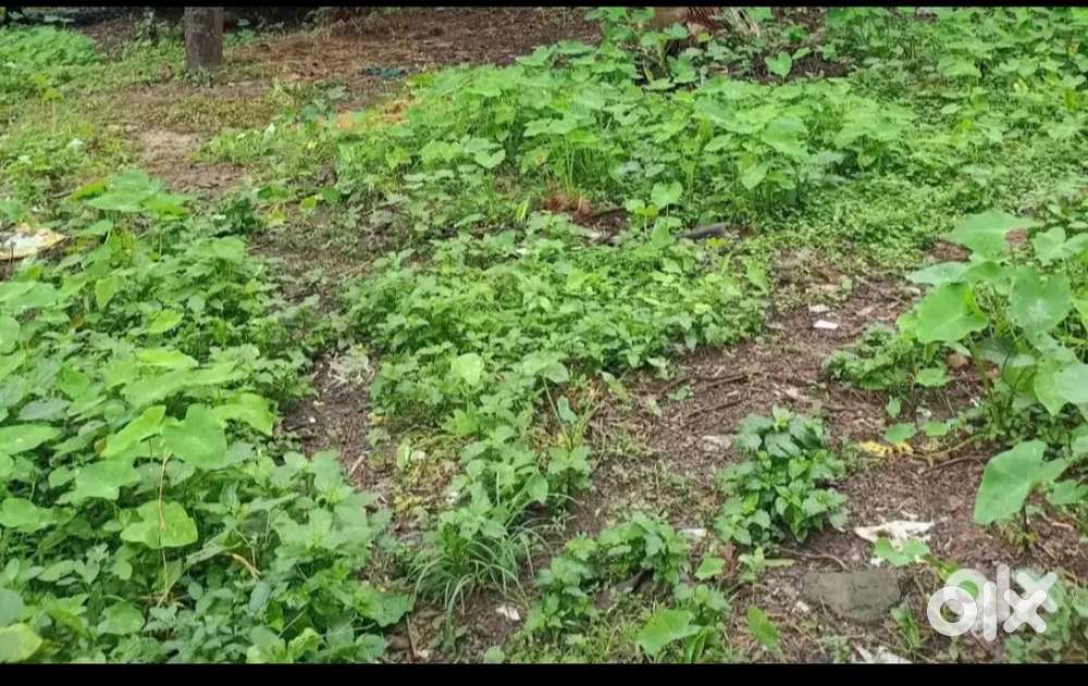 Residential land for sale