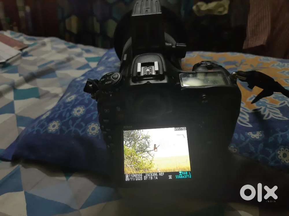 Nikon d500 with nikon 200 500 lense