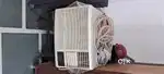Hitachi 1.5 Ton Window Ac