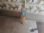 Cricket bat