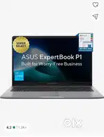 Asus Expert book P1