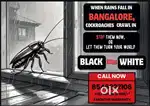 Pest control price starts from @699 only all pest control service done